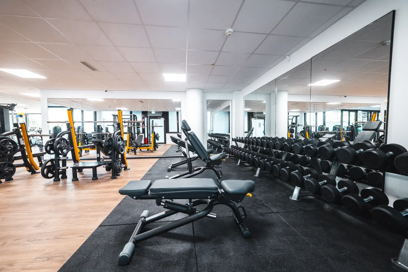 Freihantelbereich mit Kurzhanteln und Bänken bei DannyFit Dortmund