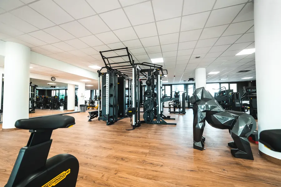 Übersicht der Trainingsfläche